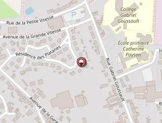 Carte de Mairie à Vibraye