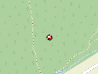 Carte de Bustreel Max à Dixmont