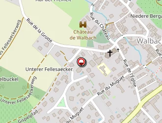 Carte de Hirn Francis à Walbach