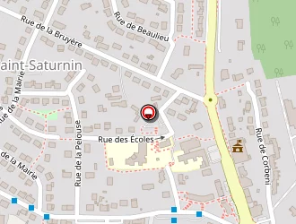 Carte de Robin Emmanuel à Saint-saturnin