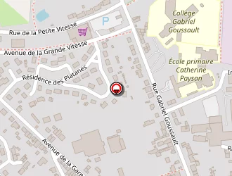 Carte de Ecole Publique Primaire à Vibraye