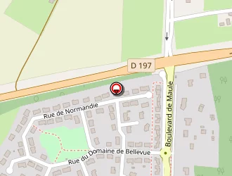 Carte de Rs Auto à Saint-saturnin