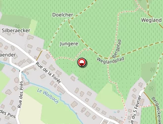 Carte de Gissinger Régis à Walbach