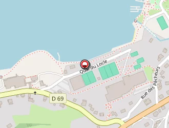 Carte de Sousa Goncalves Mike à Gérardmer