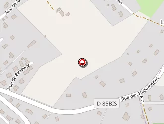 Carte de Delorme Fabien à Luart (le)