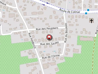 Carte de Schoepfer (earl) à Wintzenheim