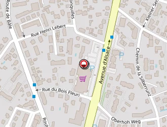 Carte de Ganzitti Fabrice à Colmar