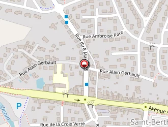 Carte de Thepault Ronan à Saint-berthevin