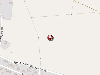 Carte de Schifferling Eric à Lamarche