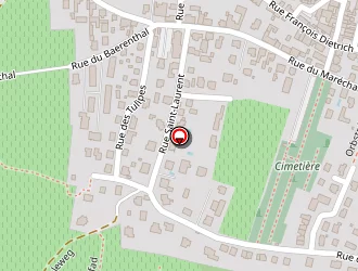 Carte de Daesslé Guy à Wintzenheim