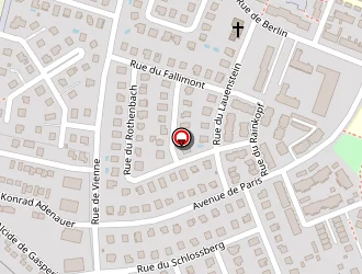 Carte de Fraysse Fabien à Colmar