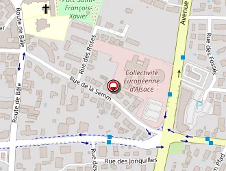 Carte de Taxis Emeraudes à Colmar