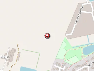 Carte de Debroize Daniel à Domagné