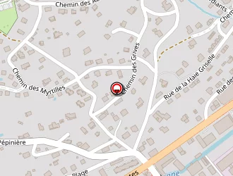 Carte de Lac Auto-ecole à Gérardmer