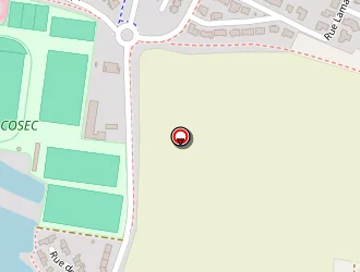 Carte de Robieu Dominique à Saint-berthevin