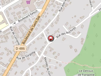 Carte de Ruer Alain à Gérardmer