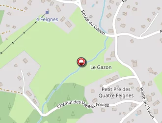 Carte de Eco-energie à Xonrupt-longemer