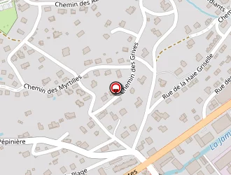 Carte de Comptoir Hôtelier à Gérardmer