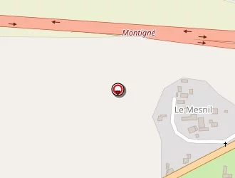 Carte de Mg Plaquiste à Torcé