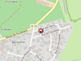 Carte de Rochotte Hugues à Zimmerbach