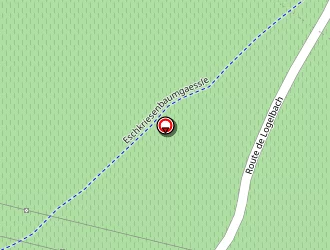 Carte de Le Relais Est à Wintzenheim