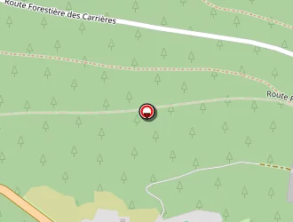 Carte de La Mouette à Gérardmer