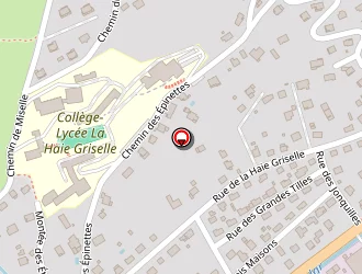 Carte de Contrôle Technique Géromois à Gérardmer