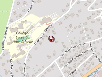 Carte de Ruer Damien à Gérardmer