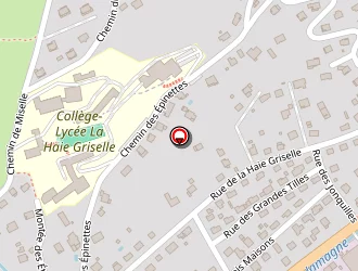 Carte de Delaborde Services à Gérardmer