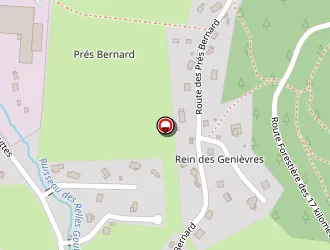 Carte de Guenot Nathalie à Xonrupt-longemer