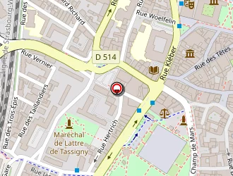 Carte de Randstad Vediorbis à Colmar