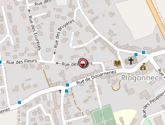 Carte de La Poste à Plogonnec