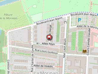 Carte de E-microproc à Saint-jacques-de-la-lande