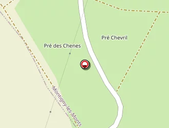 Carte de Moyat (earl) à Montigny-les-monts