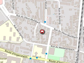 Carte de 3g Immobilier à Colmar