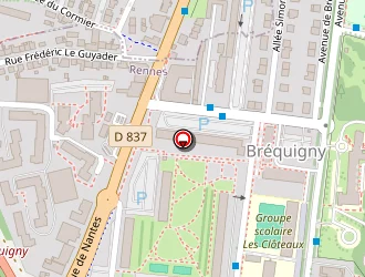 Carte de Frangi Boris à Rennes