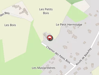 Carte de Sarthe Assistance Informatique à Savigné-l'évêque