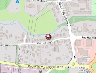 Carte de Nelumbo à Wintzenheim