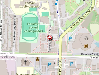 Carte de Ainani Hassan à Rennes