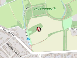 Carte de Fleurs Ploaré Fleurs à Douarnenez