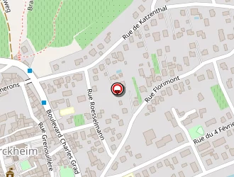 Carte de Restaurant De La Tour à Turckheim