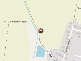 Carte de Baumann Raymond à Urschenheim