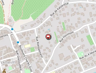 Carte de Buchlin Francis Et Buchlin Gries Jacqueline (médecins) à Turckheim