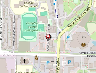 Carte de Gunes Sinan à Rennes