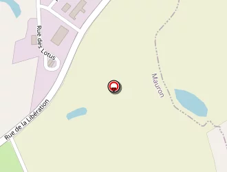 Carte de Etablissements Demeuré à Mauron