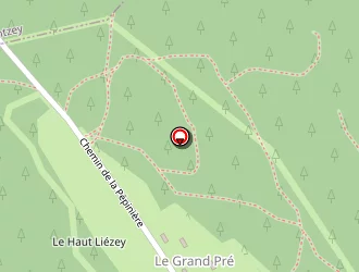 Carte de Megagence Ligonnet Pascal (mandataire Indépendant) à Gérardmer