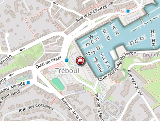 Carte de Debreuil Pellé Aurélie à Douarnenez