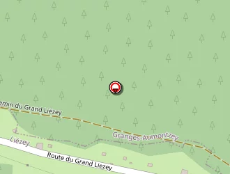 Carte de Valence Dominique à Liézey