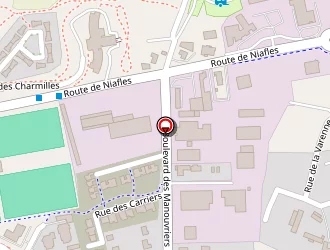 Carte de Baron à Changé