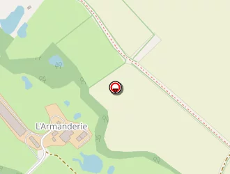 Carte de Champion Claude à Tennie